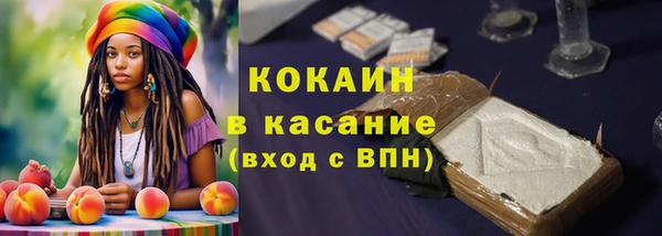 гидра Волоколамск
