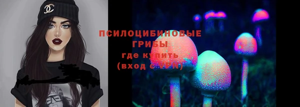 гашик Володарск