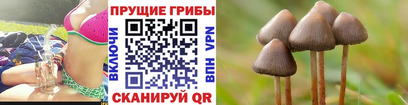 Галлюциногенные грибы Cubensis Ессентуки