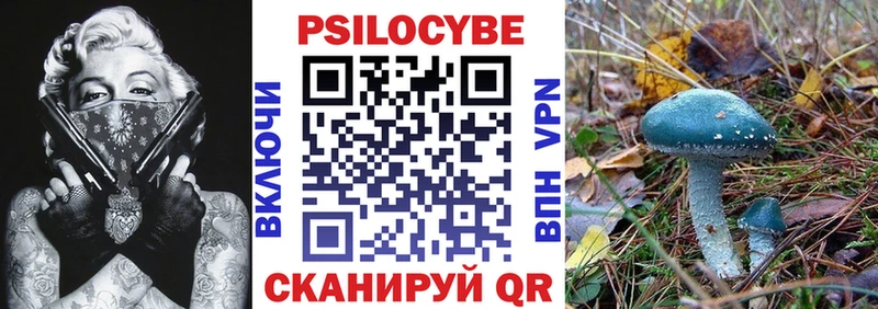 наркотики  Ессентуки  Псилоцибиновые грибы Psilocybe 